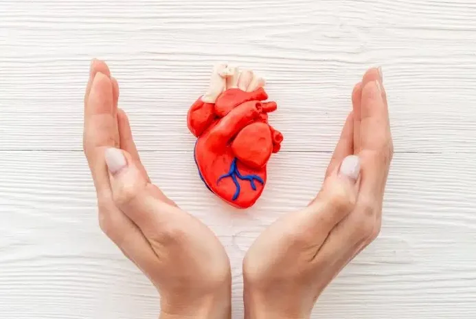 Cara Alami Menjaga Kesehatan Jantung Tips Sehat untuk Anda dan Keluarga