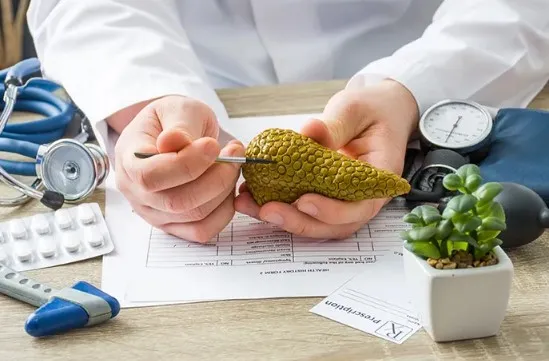 Fungsi Penting Pankreas dalam Sistem Pencernaan