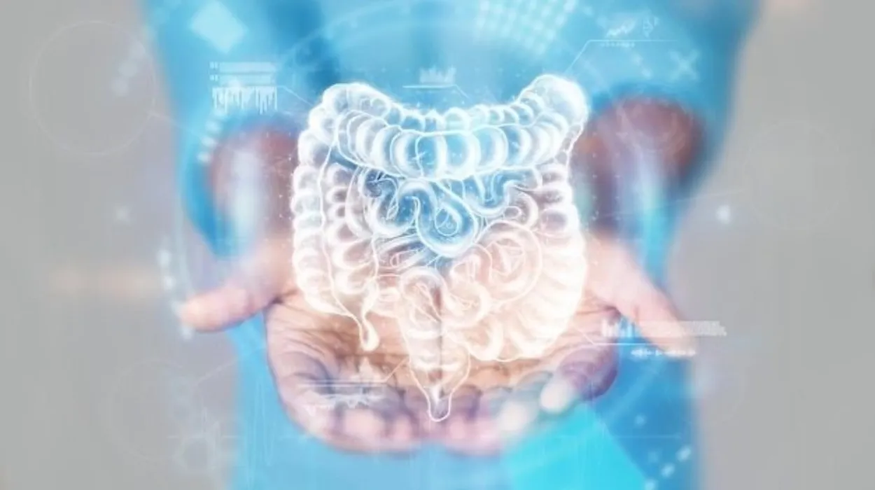 Mengenal Gastroenterologi: Ilmu Kesehatan Pencernaan yang Penting