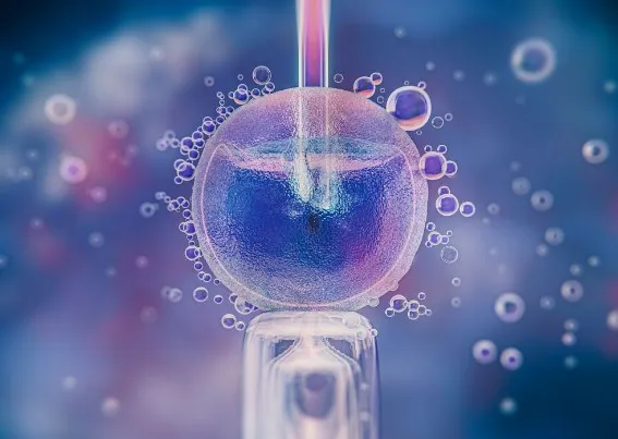 Program Bayi Tabung (IVF), Prosedur, Biaya, dan Tingkat Keberhasilan